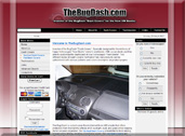 TheBugDash.com