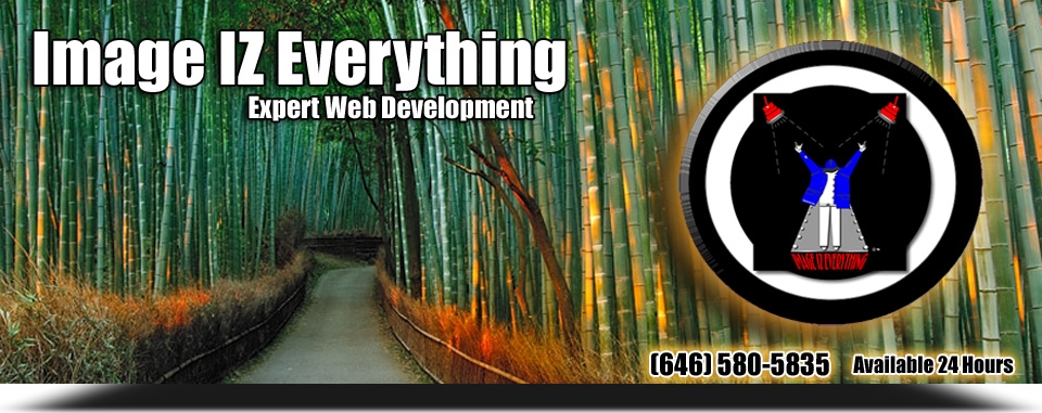 Image IZ Everything (Expert Web Development)